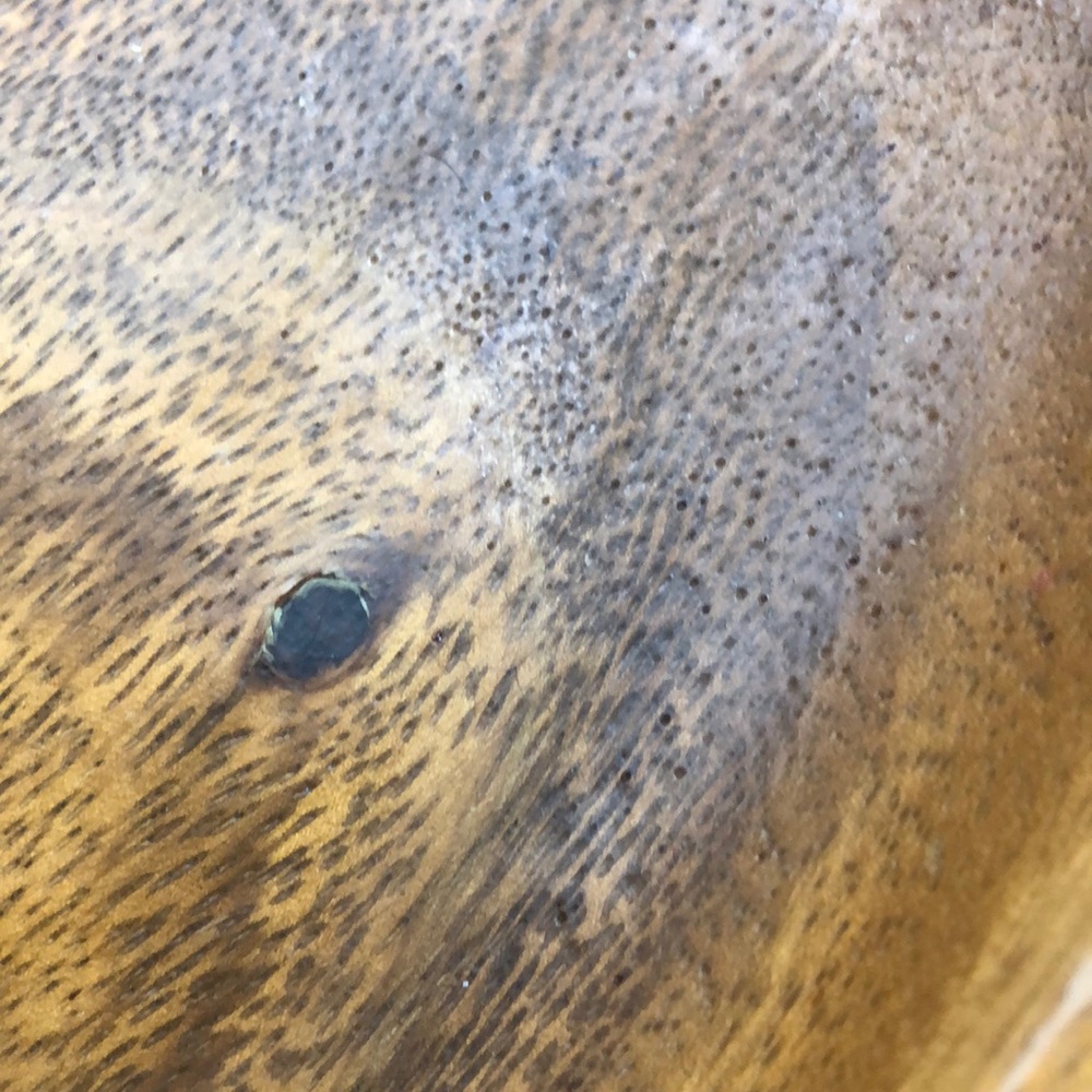 Monkey Pod leaf shaped serving tray 15.5 x 9.75” - Picture 2 of 4